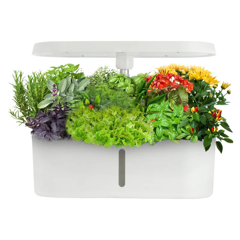 Horta Hidropônica Inteligente Automática para Casa | Sistema Smart de Cultivo Sem Solo para Vegetais e Flores